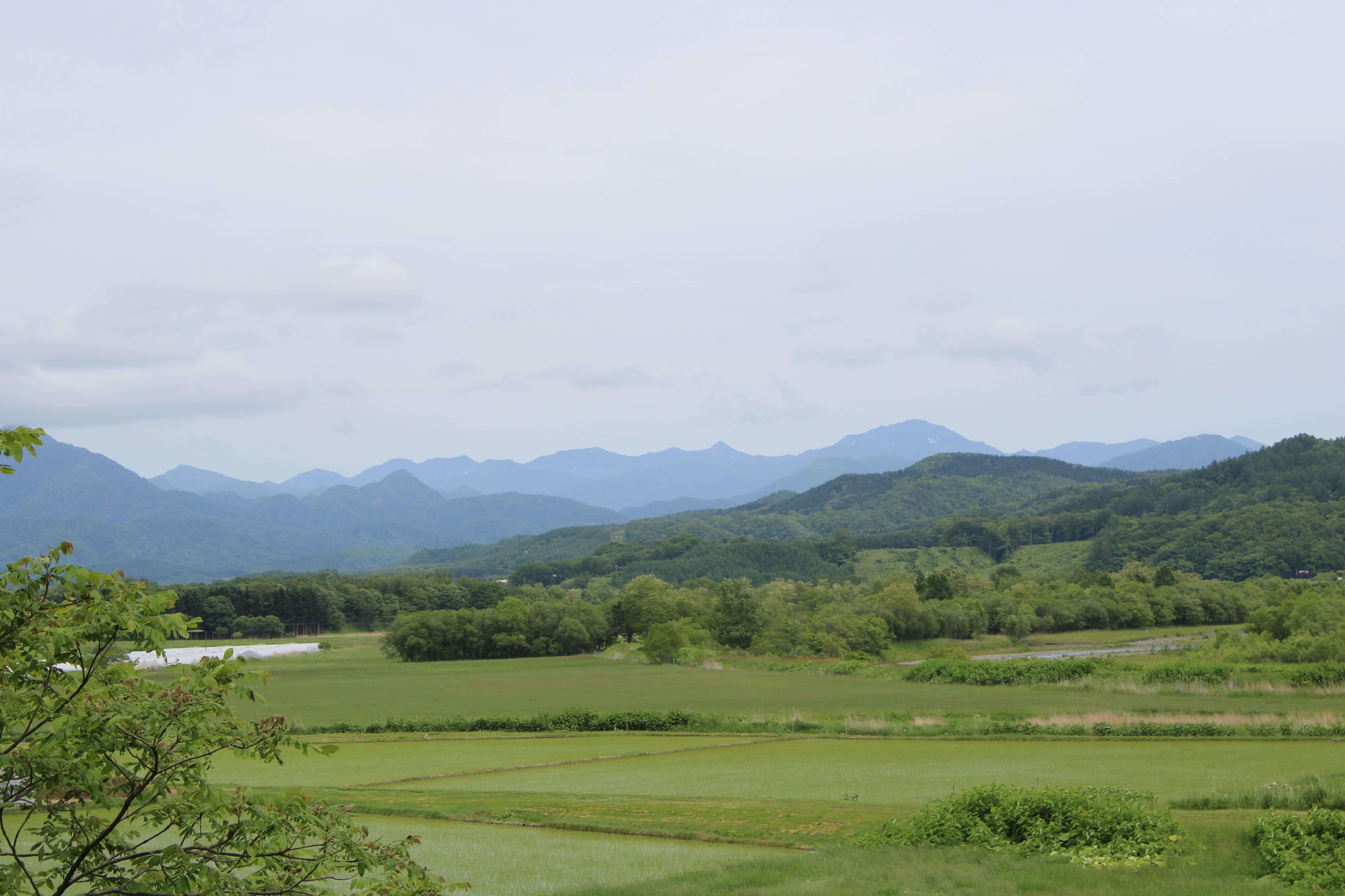 幌尻岳視点場